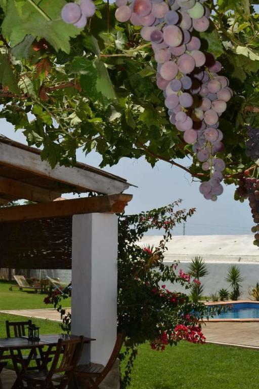 Alojamiento Rural "El Charco Del Sultan" Conil De La Frontera Εξωτερικό φωτογραφία